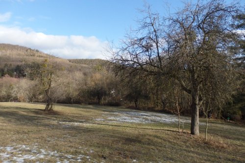 Regenerace lokálního biocentra v Břestku